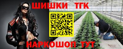 твердый Гай