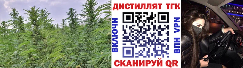 что такое наркотик  Городец  OMG tor  Дистиллят ТГК концентрат 