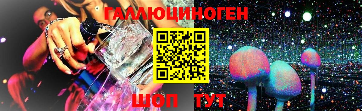 Галлюциногенные грибы ЛСД  хочу   Городец  Вход с VPN  Псилоцибиновые грибы MAGIC MUSHROOMS 