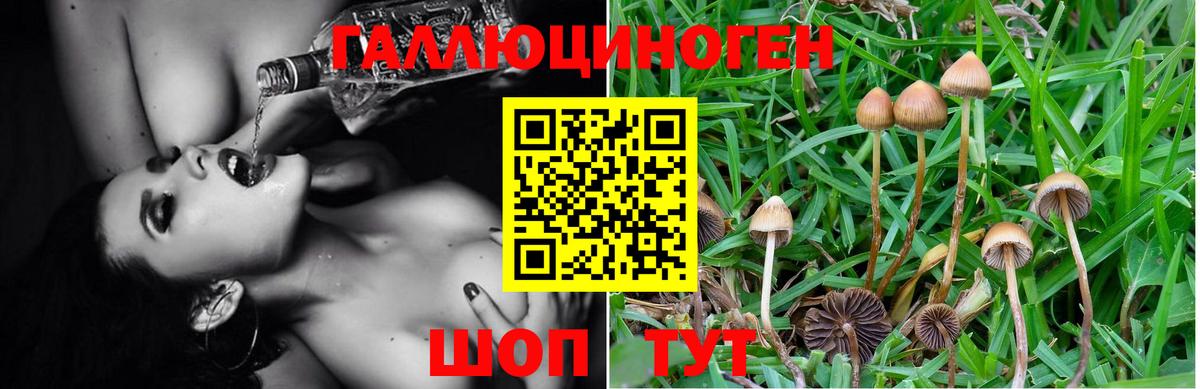 Галлюциногенные грибы Magic Shrooms  Городец 