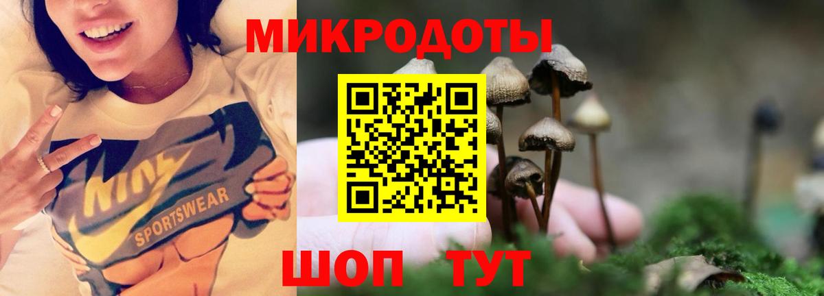 Псилоцибиновые грибы мухоморы Городец