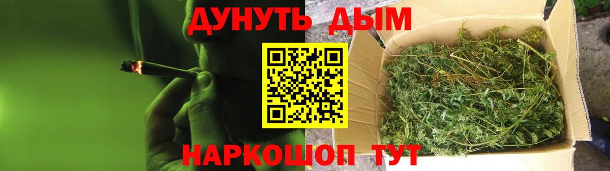 Каннабис THC 21%  МАРИХУАНА гибрид  Городец  Конопля семена 