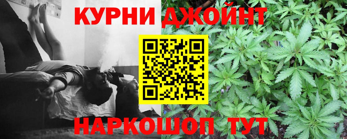 Конопля OG Kush Городец